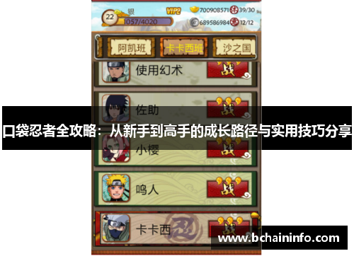 口袋忍者全攻略：从新手到高手的成长路径与实用技巧分享