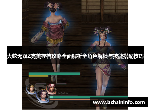 大蛇无双Z完美存档攻略全面解析全角色解锁与技能搭配技巧